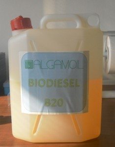 Algamoil tanica Biodiesel