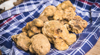 Mostra Nazionale del Tartufo Bianco Pregiato delle Marche