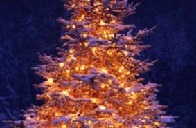 foto albero di Natale Sogni sotto l'albero